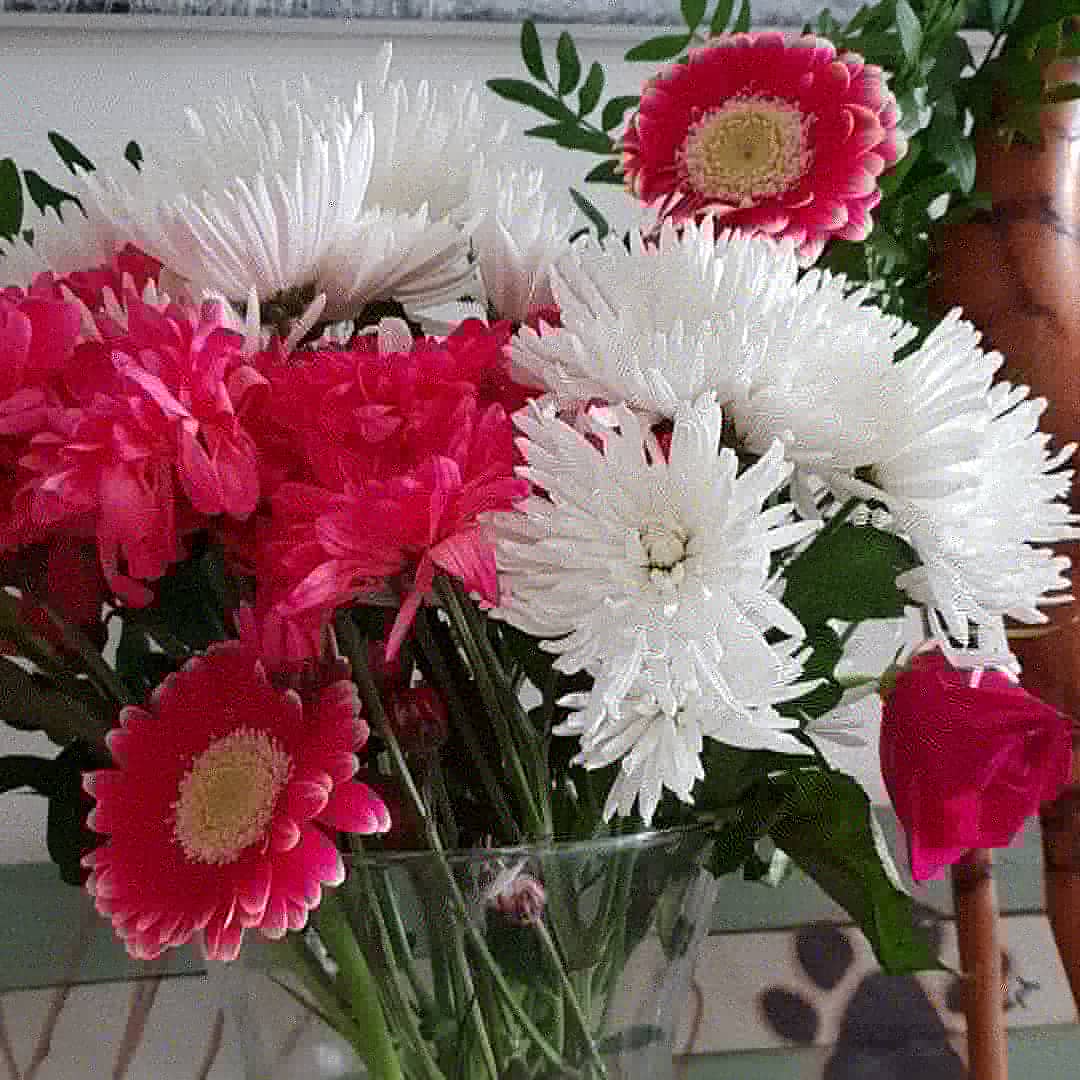 Meadows_Way's tweet photo. #HappyEaster to all! We received these beautiful flowers from some happy customers this weekend! Made our day! Thank you xx #EasterSunday #FLOWERFLOWER  #wehavethebestguests https://t.co/Dy2aqwuBWD
