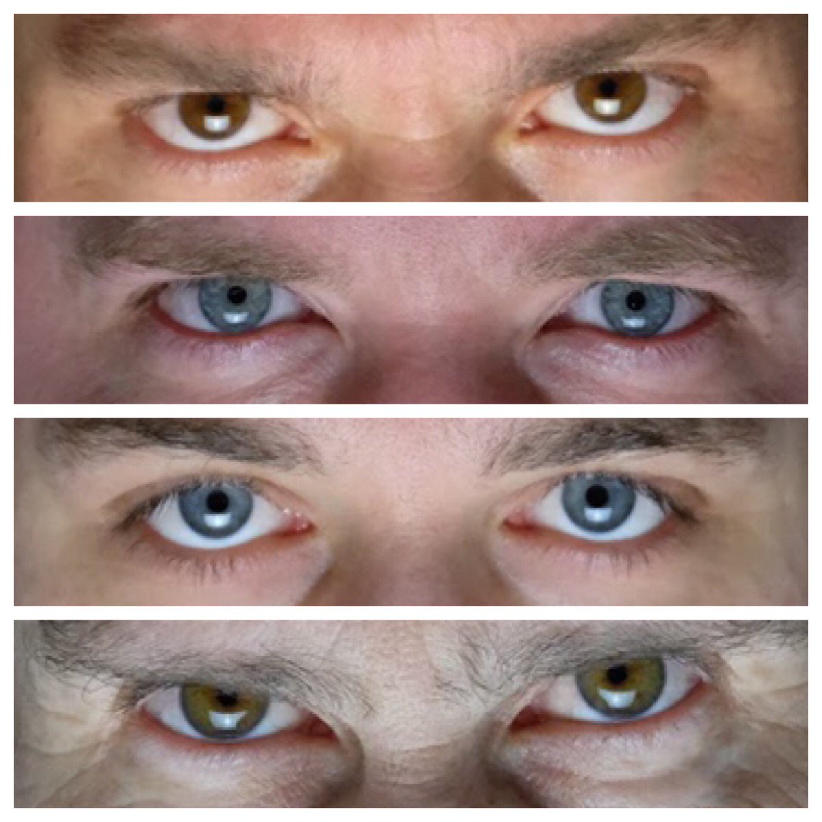 3rd World Leader tweet media