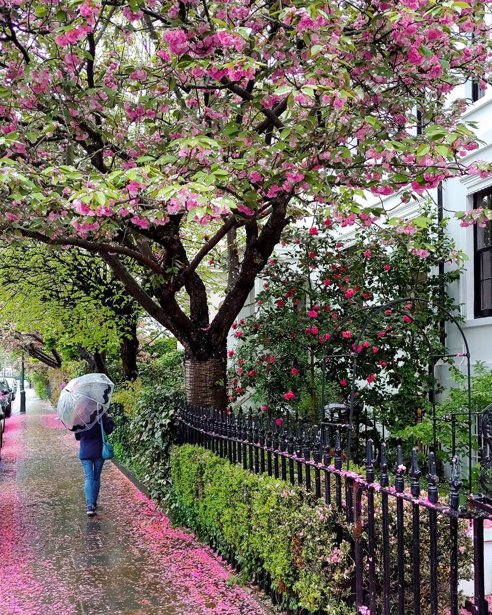 What a treat to be in London in springtime – whatever the weather! #regram a_ontheroad