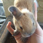 Melissa Tumblin tweet media