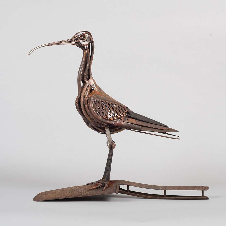 Here's my Forceps Curlew #WorldCurlewDay