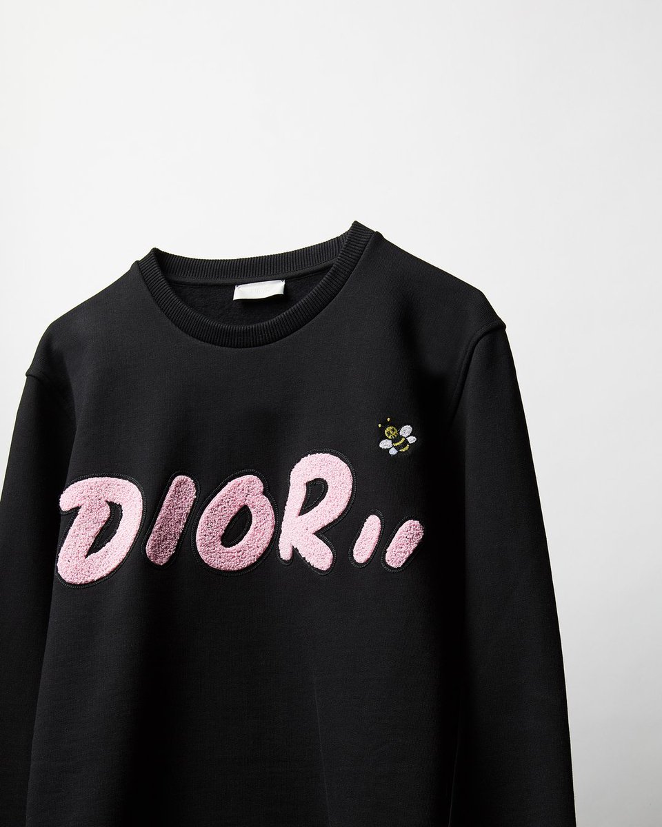 kaws and dior