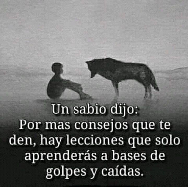 VicenteLaparra's tweet photo. Un sabio dijo... https://t.co/ACNz47YOZx
