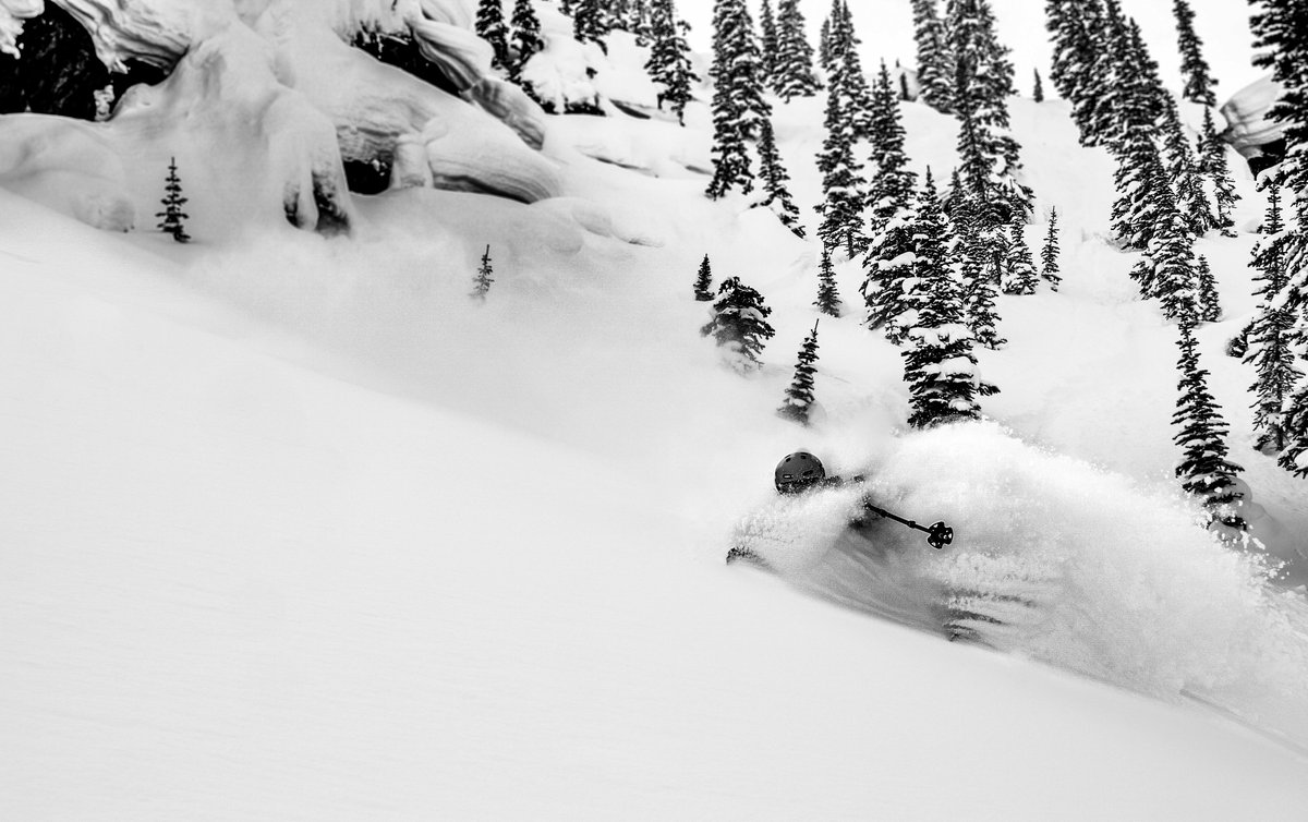 Mountain Standard tweet media