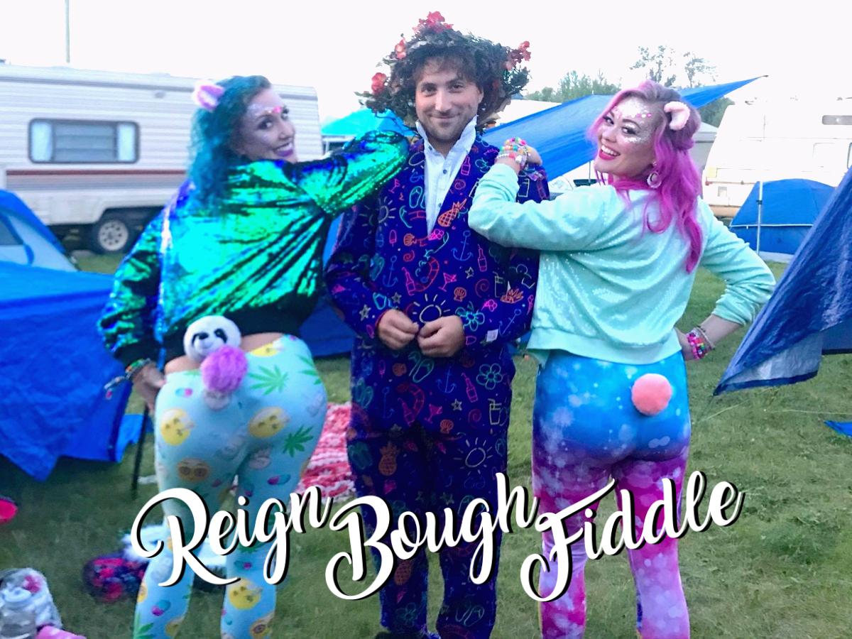 Reign Bough Fiddle tweet media