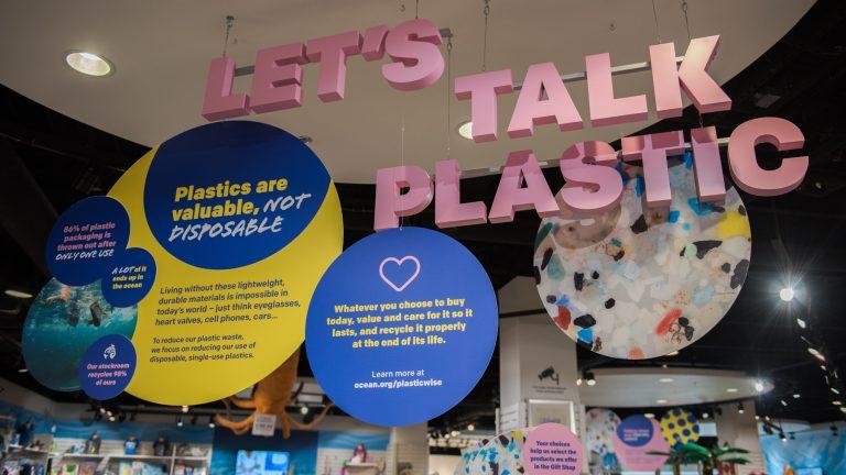 OceanWiseSeafd's tweet photo. Ocean Wise has been named on Canada's Greenest Employers list for 2019 ❤️
Read more about it at on our #Aquablog https://t.co/J1xLwMKU5F https://t.co/2C6hF0fLZ9