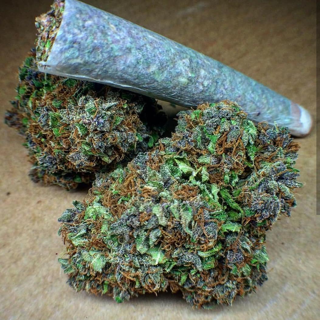 Hansblik2's tweet photo. One does not simple get high 💚💨
#CannabisCommunity #Cannabis #cannabisculture #weed #canadacannabis #Marijuana #kush #stoner #stonergirl #stoned #Sativa #Indica #THC #stonerfam #420life #weedstagram420 #weedporn #hightimesmagazine https://t.co/WYpvgVYUqt