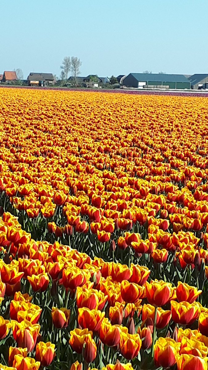 #texel #ibizavanhetnoorden 

Wat is het hier weer prachtig