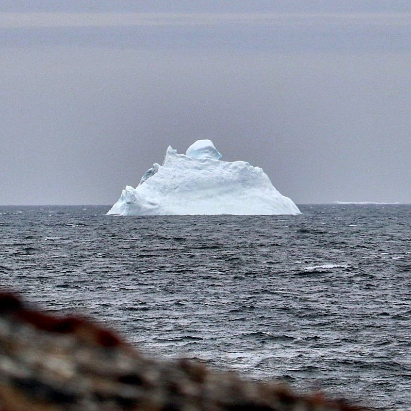 GrayMarker99's tweet photo. Now is the time to unfollow me if you're not an iceberg fan. They have arrived and I captured a zillion shots of our first one. Here's the first. #nlwx #ShareYourWeather #explorenl #iceberg https://t.co/IazC4Q7r25