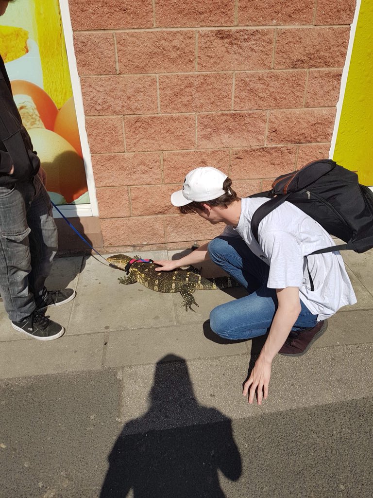 Brother sent me this picture of a man taking his Lizard for a walk. Stretford is such a strange place 😂🦎
