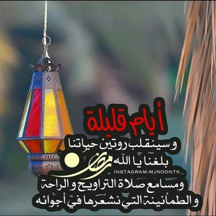 #نجوم_البنفسج⁩
#اسطول_زعماء_تويتر
#نويدر_للدعم
#الجيش_السلماني
#السلماني_للترند
#متجر_خبير_التميز
⁧#ملوك_الدعم_بتويتر