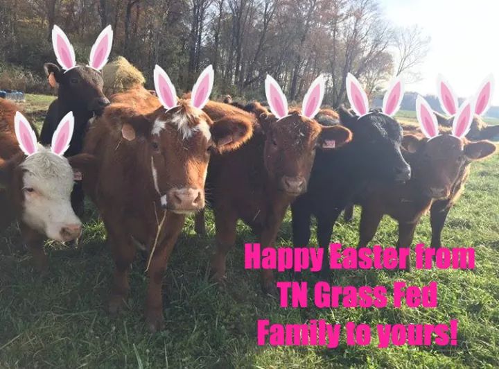 Have a blessed day folks!!