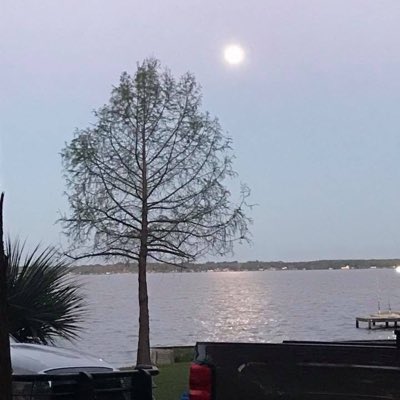 TheMrsTofu's tweet photo. #NewProfilePic https://t.co/ySdDvEr3ZS