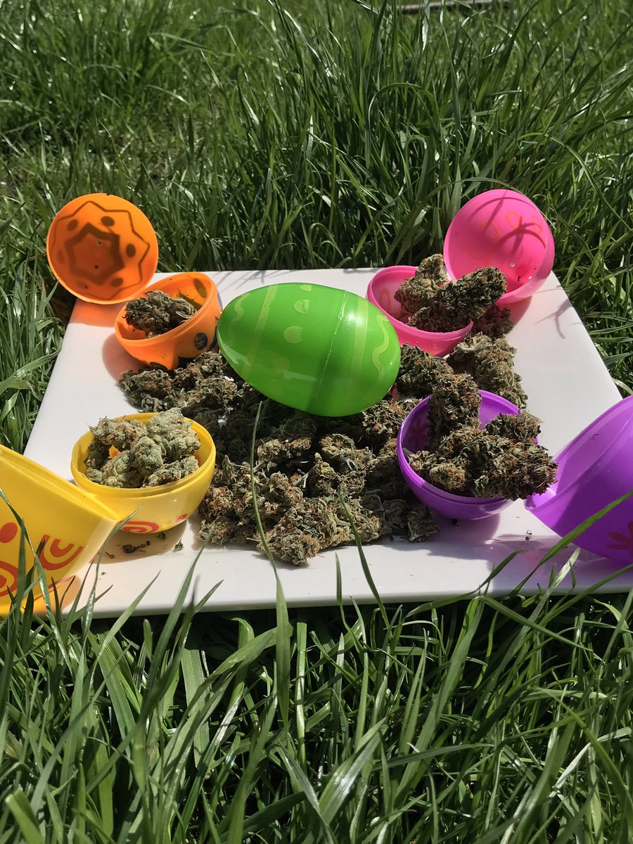 Happy Easter from Dancing Beaver Brand!
#happyeaster #easter #Homegrown #weedofinstagram #cannabis #weed #organic #cbd #hemp #wax #weed #cannabis #marijuana #cannabiscommunity #thc #kush #hightimes #dabs #highsociety #stoned #medicalmarijuana #bud #joint