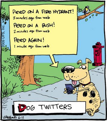 OlScoop's tweet photo. What else would your dog say on Twitter? https://t.co/98JKHpXsod