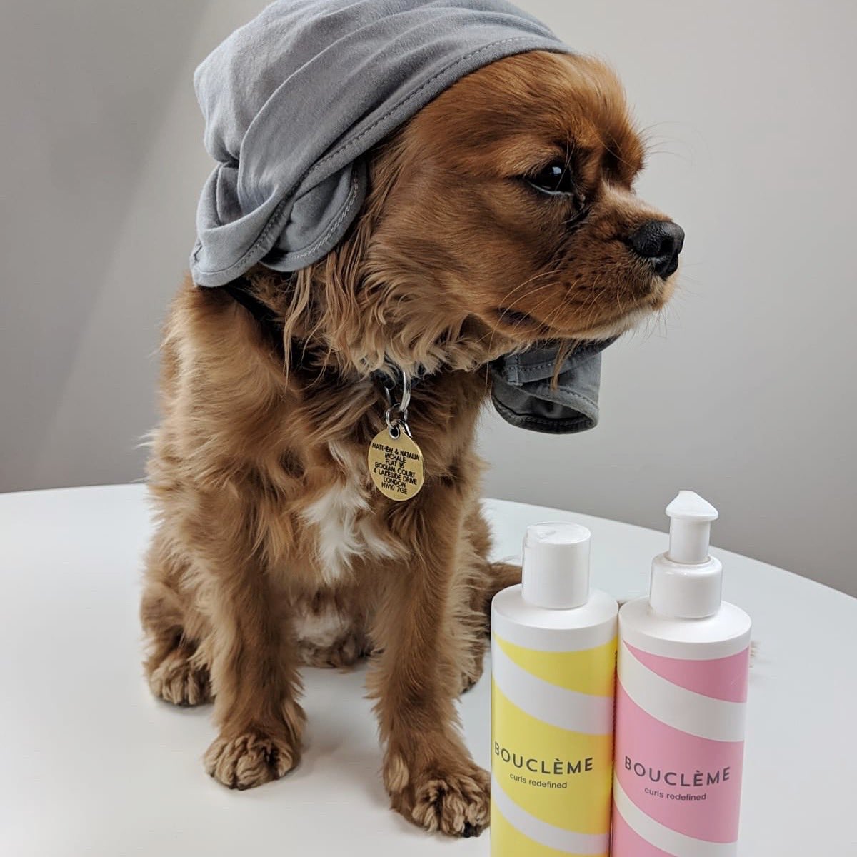 Here celebrating #NationalPetMonth is our curly dog friend Pablo 😍🐶