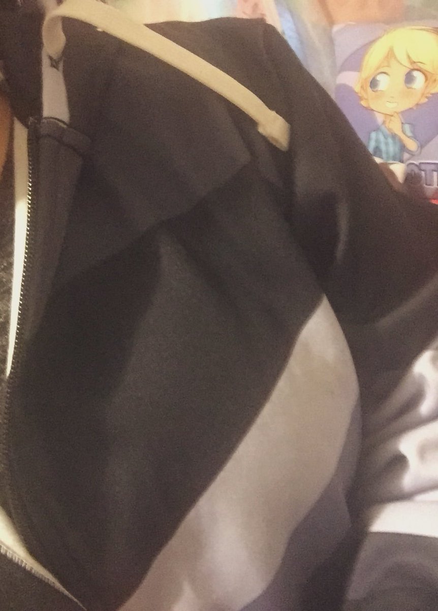 Melissa17255105's tweet photo. I love my new Zane Hoodie the quality and the design worth all my monies Thanks for bringing this hoodie to life @_Aphmau_ @teespring @JasonBravura and love ur Characters hoodie @KestinTheVoice I’ll wear it with pride and Yes that Garroth in the background 😊#Aphmaumerch #aphmau https://t.co/KhPFXHSreE