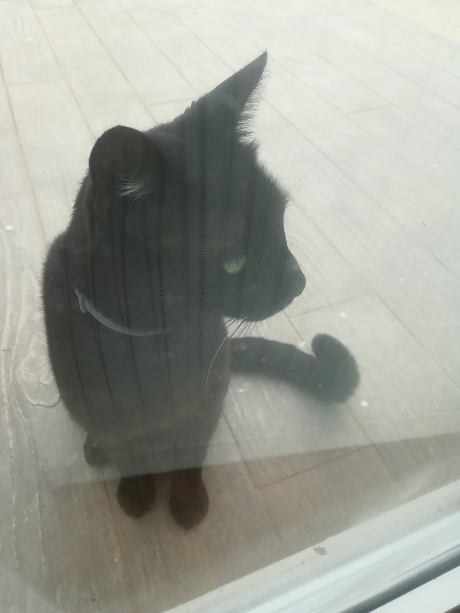 Mi Rigo ya sé siente bien