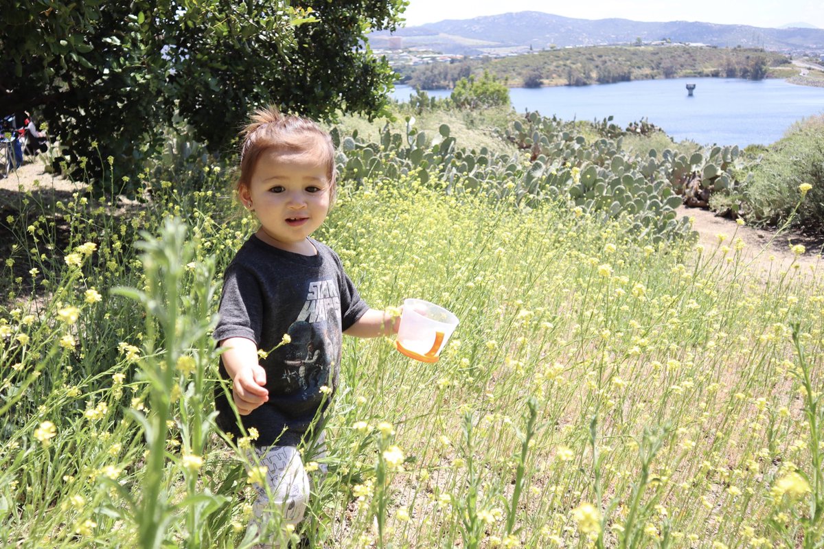 DavidWrightHomeLoans tweet media