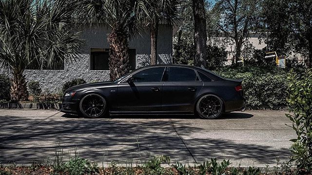 ExecutiveWraps's tweet image. She’s from the jungle 🌴 ----------------------------------------------------- @roceuro @wnyexotics @wrapchannel @paintisdead @wrapinstitute @metrorestyling
 @thewrappromoter @executivewrap ----------------------------------------------------- #wrappe… bit.ly/2UNmjOI