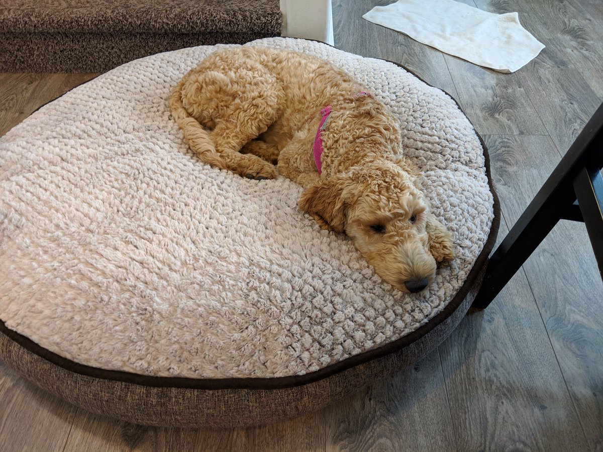 Postmita's tweet image. This is Roe