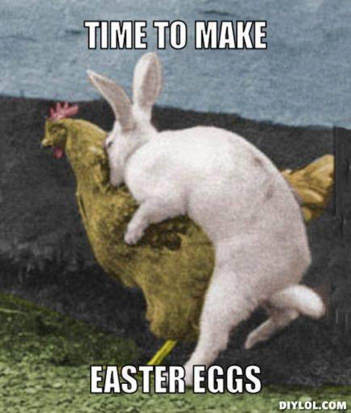 jellylegs8's tweet photo. Albion quiz - team jelly legs - happy Easter #albionquiz https://t.co/xzEqqX03ic