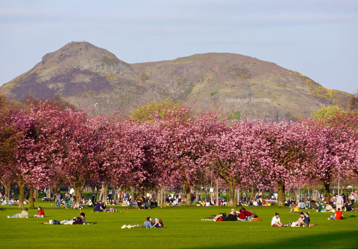 edinspotlight's tweet image. Arthur&apos;s Seat and The Meadows blossom
.
.
📸21.4.19 #Edinburgh #edinburghblossom