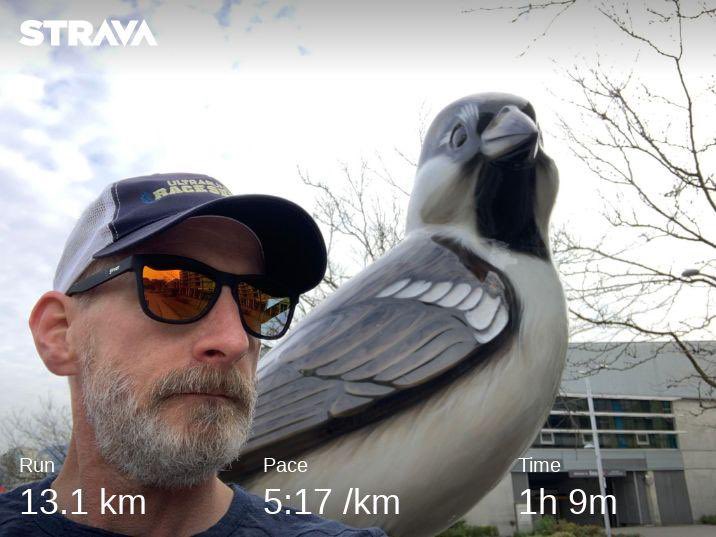 MikeSenior's tweet photo. Spent a beautiful Easter morning running around SE False Creek and tagging some nodes for my street mapping project. I didn’t find the Easter Bunny but I did find this big ass bird. #squadrunner #naflagvisoriv #seenonmyrun #streetmapping #citystrides https://t.co/QMKPIqFsdl