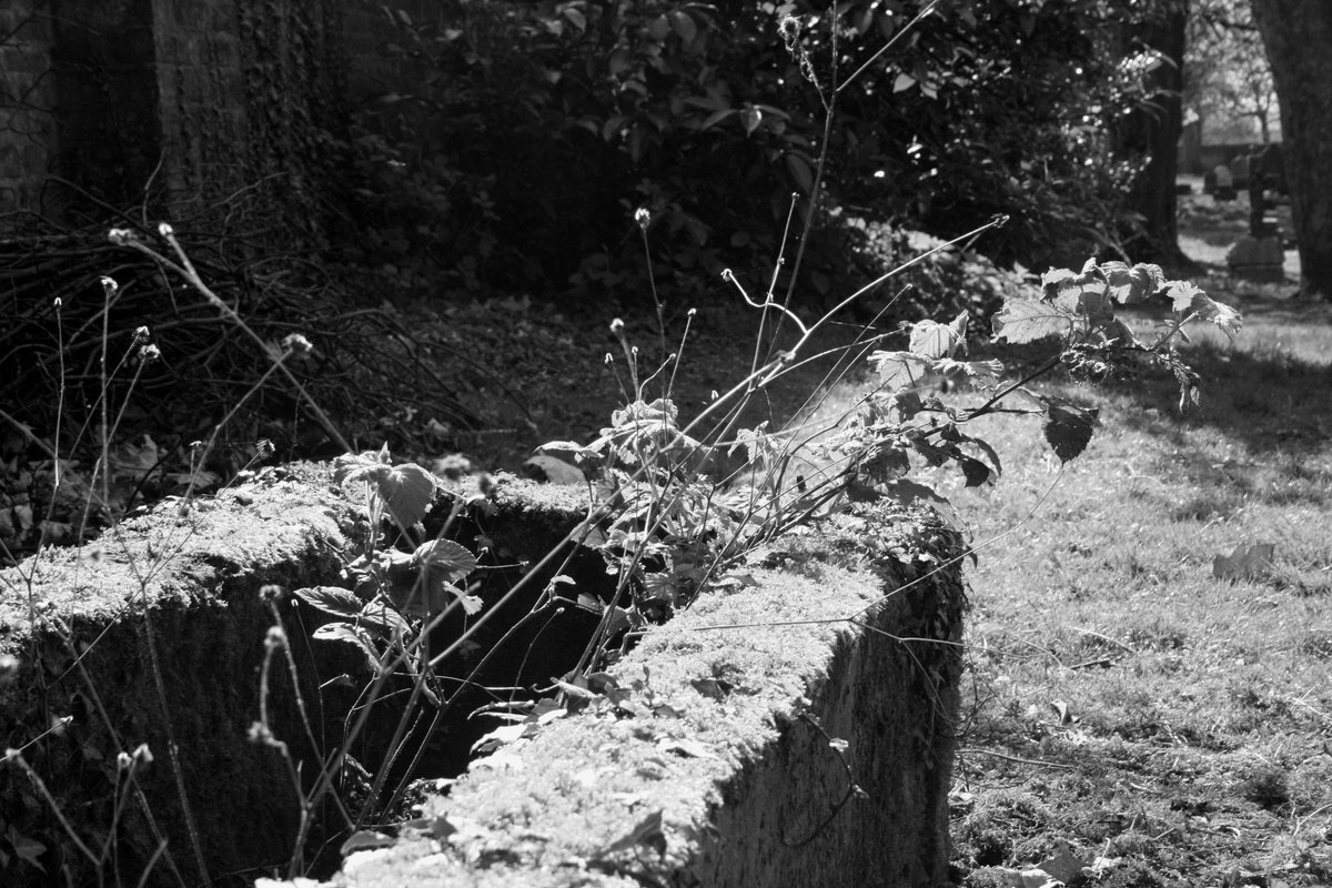 Composing_Light's tweet image. #photography #photo #blackandwhitephotography #Monochrome