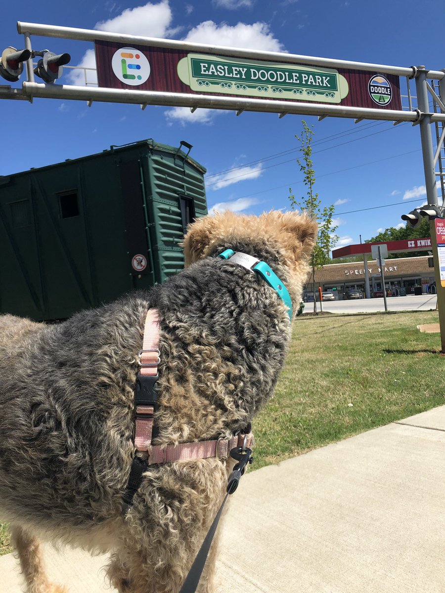 JessStumpf's tweet photo. Beautiful day to check out the Doodle Trail! Happy Easter! #exploreeasley #discoverthedoodle #doodletrail https://t.co/lFA1kFTz5G