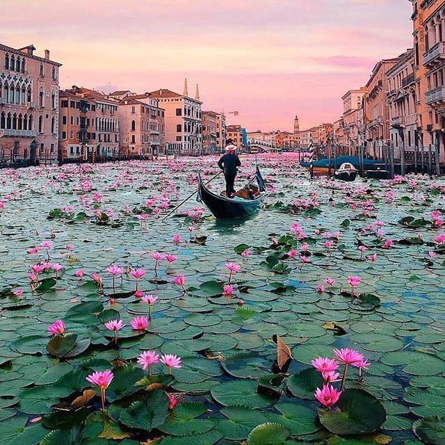 Supersingularit's tweet photo. Happy Easter 🐥🐥🐥🐤🐤🐤🌷🌷🌷
Beautiful work Creds @soruchu 
Follow 👉 @supersingularity for more... https://t.co/xdP27JyygM https://t.co/gM1Q4iDJHp