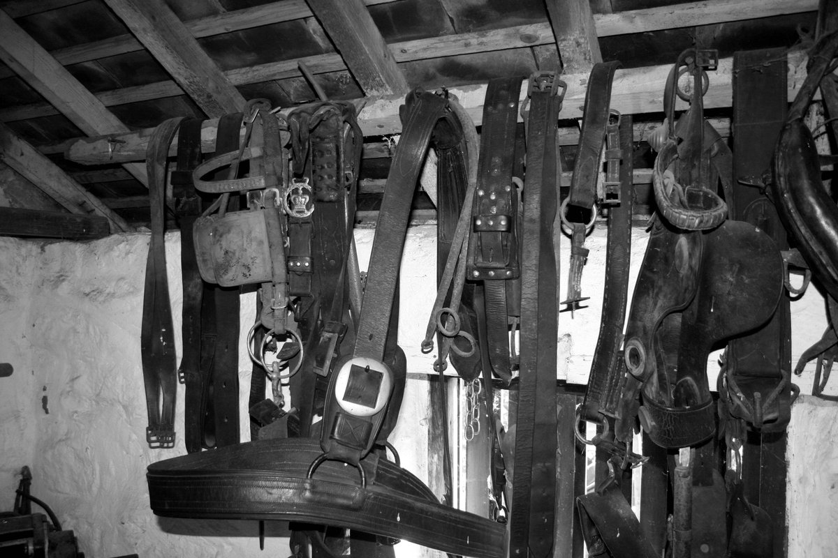 Composing_Light's tweet image. #photography #photo #blackandwhitephotography #Monochrome #blackandwhite