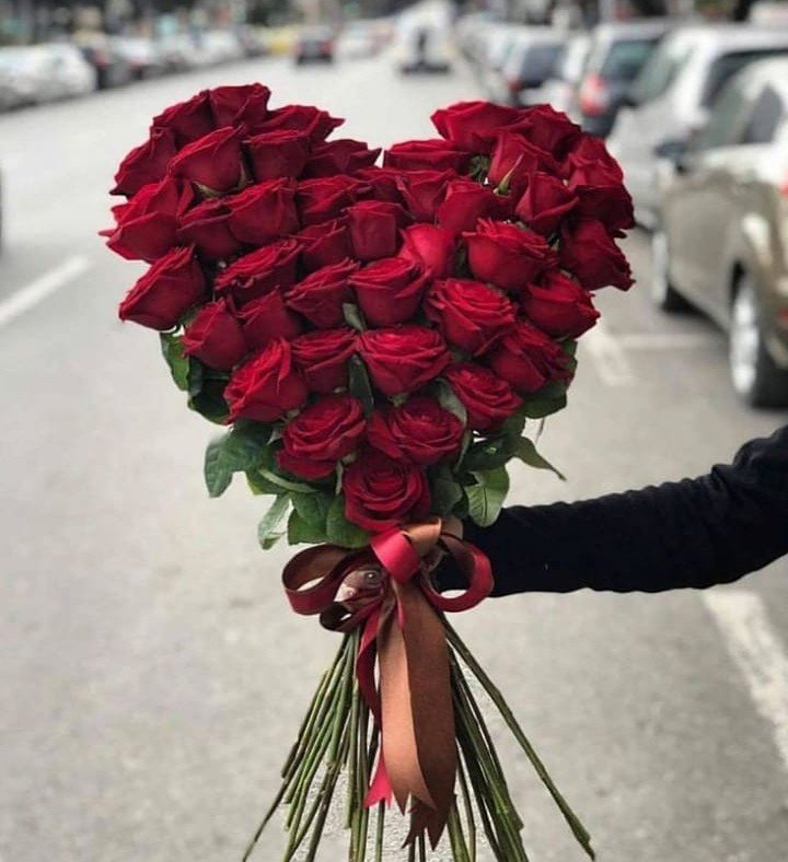 RoseMatern tweet picture