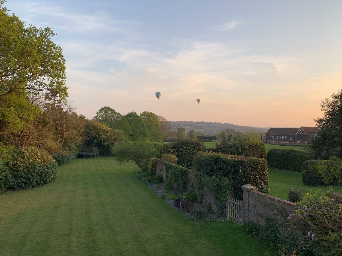 Frances Healy tweet media