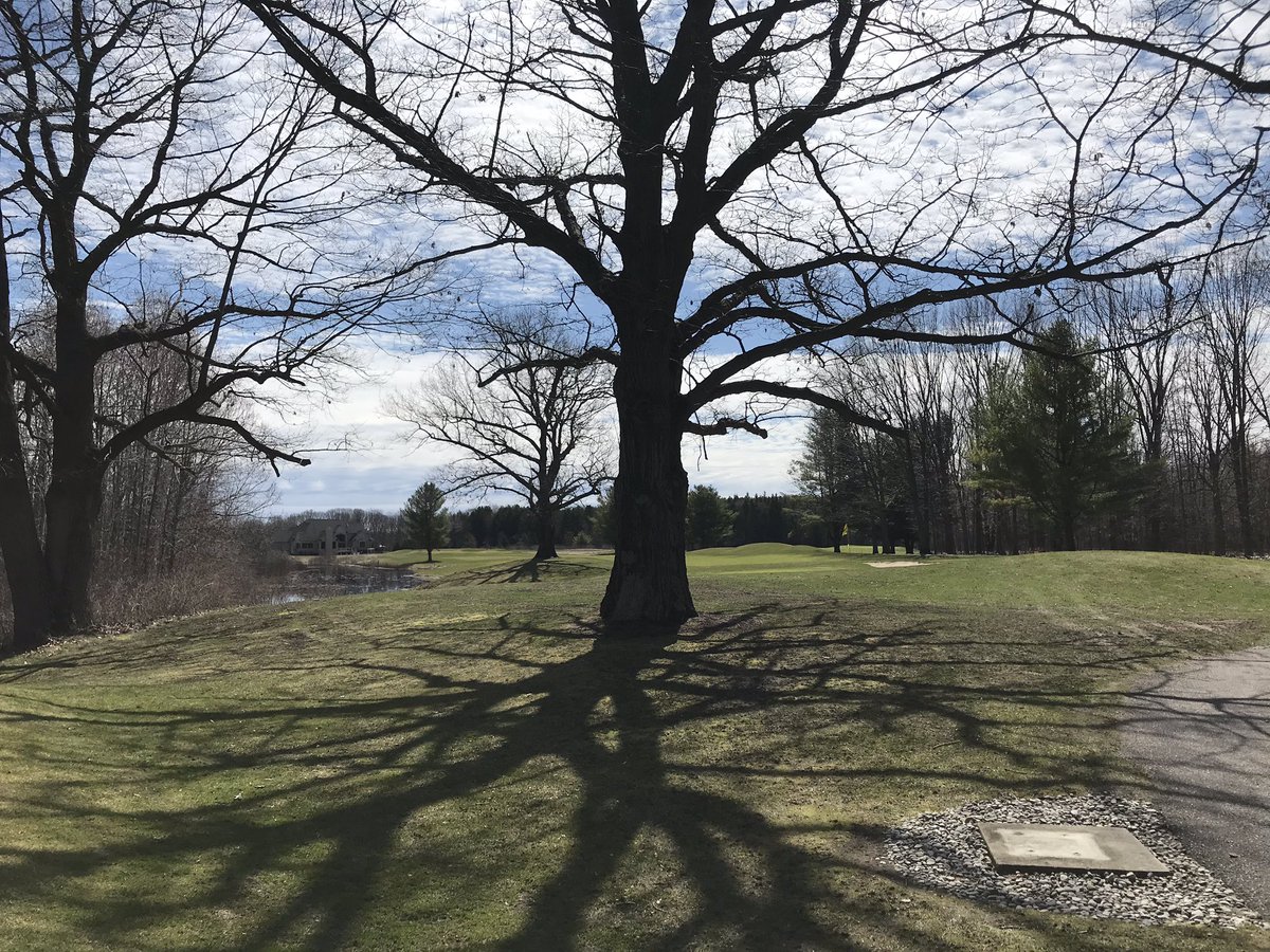 Rick Parnham tweet media