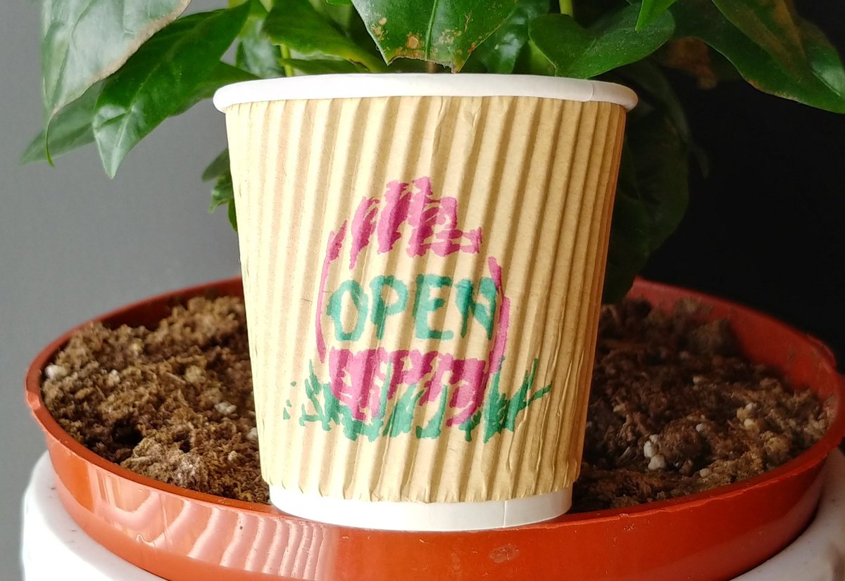 twincityhive's tweet photo. We are indeed open today! https://t.co/CpAX4tI1Ax