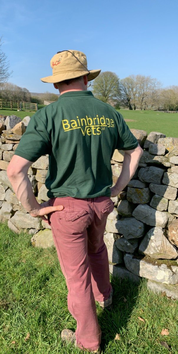 BainbridgeVets's tweet photo. If we had an award for best dressed farmer for lambing time this client would be the winner #teamsheep #vet365 #yorkshiredales https://t.co/g8BfsoIOri