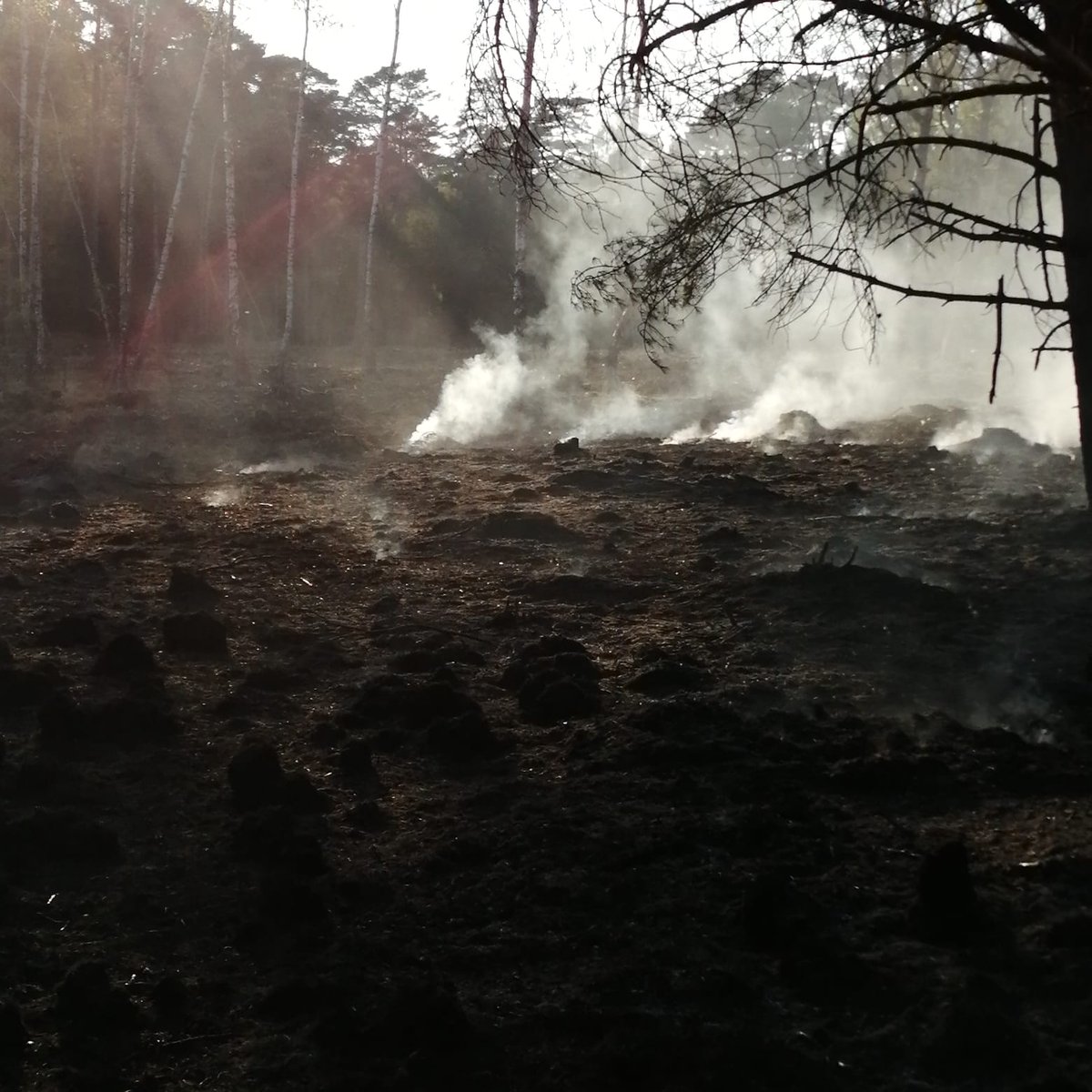 Brockenhurst50's tweet photo. @hfrs_control @Lyndhurst48 @BurleyFire52 @Lymington43 @Eastleigh32 Great initial attack to contain the fire from spreading and hard work from all crews.
Please be mindful that the forest is starting to dry out and please keep the Forestry commission gateways clear! @ForestryEngland  @Lymington43 @Lyndhurst48 @Eastleigh32 @BurleyFire52 https://t.co/bAwqGWjckf