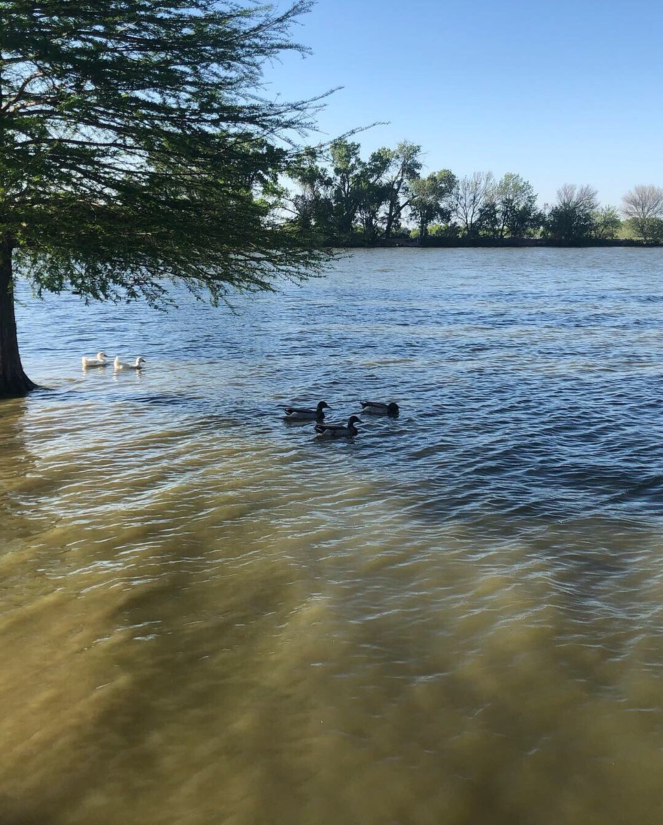 foot55's tweet photo. Early evening run to Zoo and Back. 1st shirtless run this year. Saw lots of Easter 🐣 activities at the Park and in neighborhood. Body and legs recovering well. Time for a cold bath.
Sunday Easter Cheers #runningman #berlinmarathon #berlinmarathon2019 #fixyourrun #runchat #cheers https://t.co/6v7ve9NY06