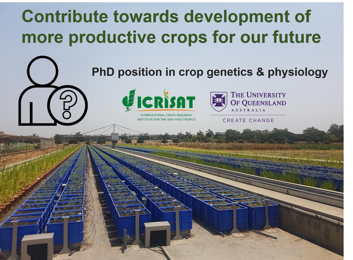 Only 5 days left to apply! 😲

The PhD position in crop genetics and physiology will work on project in 🇦🇺 &amp; 🇮🇳 aiming to understand drought tolerance mechanisms in collaboration with <a href="/rajvarshney/">Rajeev Varshney FRS</a> <a href="/ICRISAT/">ICRISAT</a> 

Pls share! Details here: bit.ly/2UDSOif