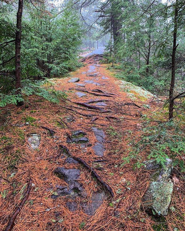 adk_runner's tweet photo. Even rainy days can have great views
.
.
#cairnfortheoutdoors
#addnysrangers
.
.
.
.
.
.
.
.
.
.
.
.
.
.
.
.
.
#Adirondacks #ADK #VisitADK #ChooseMountains #HikeADK #HikingAdventures #LandscapePhotography #PeopleWhoHike #GoEast #OptOutside #ExploreToCre… https://t.co/uOB4EhIjru https://t.co/CtJx1jTTaN