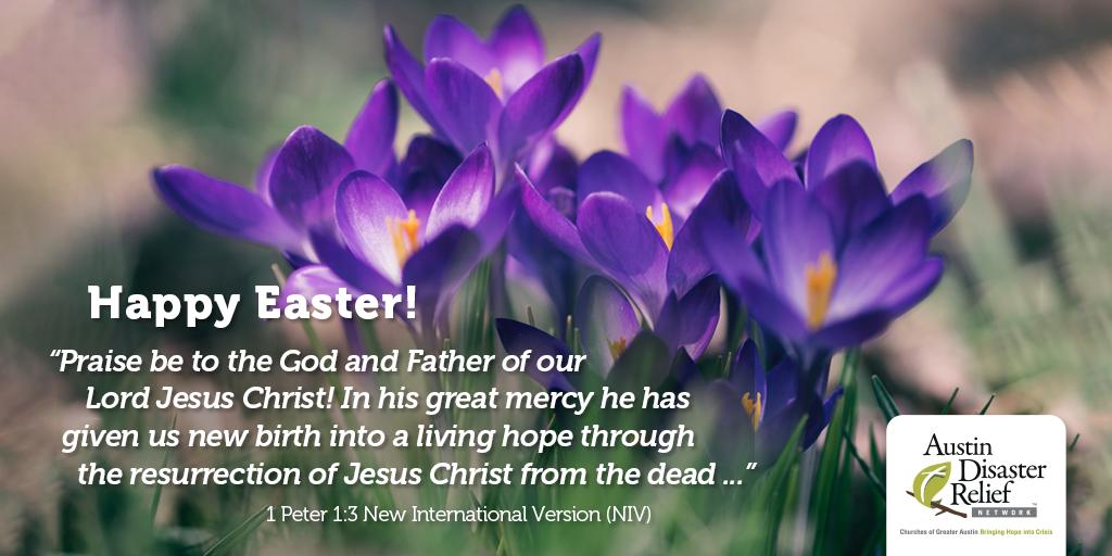 Happy Easter from all of us at ADRN!
#adrntx #EasterSunday