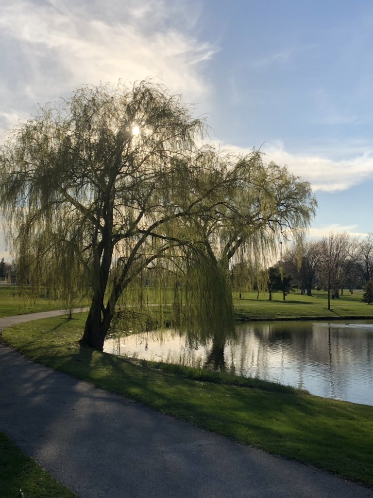 SueMcCollum1's tweet photo. Restarted my walking program today, my goal was to walk for 30 minutes, I made it to 36! Beautiful #EasterDay in #Chicago for walking and music by @nickfradiani🎶 #EasterSunday2019 #Hurricane #WhereWeLeftOff #BestOfAmericanIdol https://t.co/STkhrKRFYz https://t.co/ltO4e3s7CW