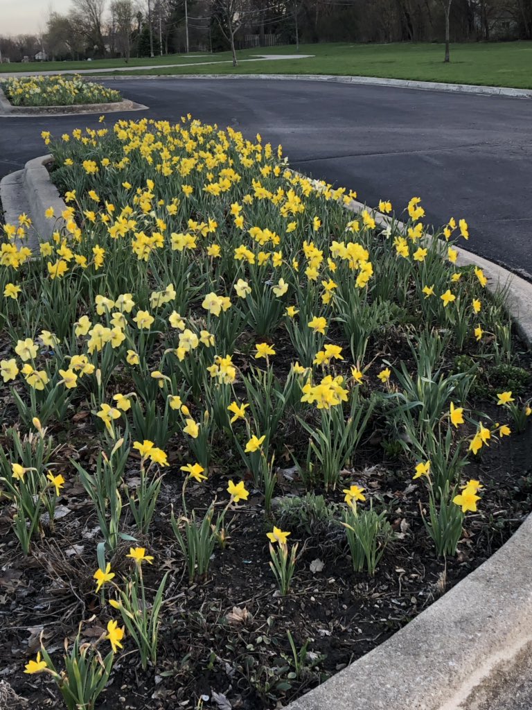 SueMcCollum1's tweet photo. Restarted my walking program today, my goal was to walk for 30 minutes, I made it to 36! Beautiful #EasterDay in #Chicago for walking and music by @nickfradiani🎶 #EasterSunday2019 #Hurricane #WhereWeLeftOff #BestOfAmericanIdol https://t.co/STkhrKRFYz https://t.co/ltO4e3s7CW