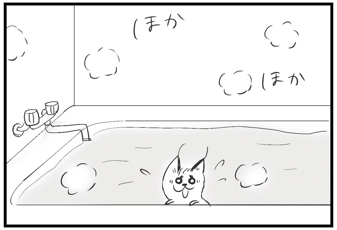 あいなつ 毛玉なカラカル Vol 503 おふろ場のエコー カラカル 毛玉なカラカル 4コマ漫画 4コマ 漫画 イラスト アフリカ ネコ科動物 猫 自主練 あいなつ 毛玉なカラカル Vol 503 おふろ場のエコー カラカル 毛玉なカラカル 4コマ漫画 4コマ 漫画 イラスト アフリカ ネコ科動物 猫 自主練