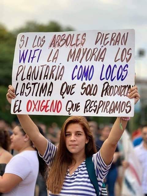 DAVID® tweet media