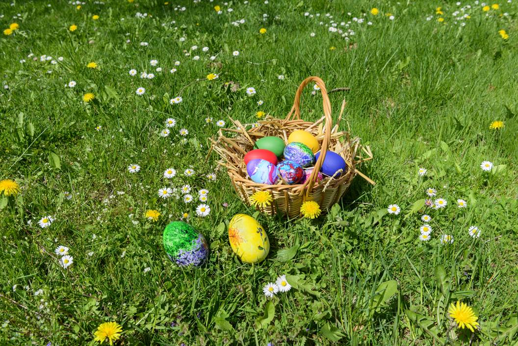 HeritageFundUK's tweet photo. Happy Easter! 🐰🌺🐰 Why not spend this #EasterHoliday outside? Here are 7 places that will get you moving: https://t.co/zUDCVg4K01
#itsWalkingTime #HappyEaster https://t.co/qUxxXcNXYU