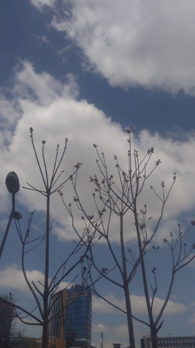 souldrops0's tweet image. boya paleti
#işkey