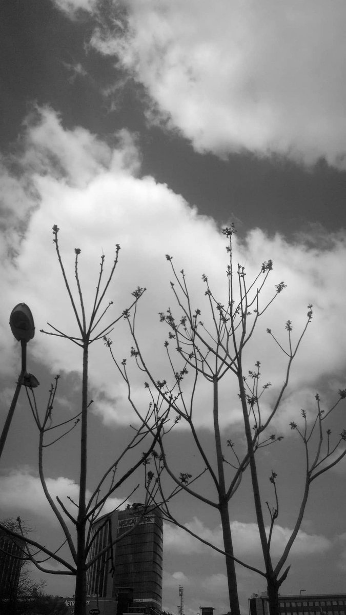 souldrops0's tweet image. boya paleti
#işkey