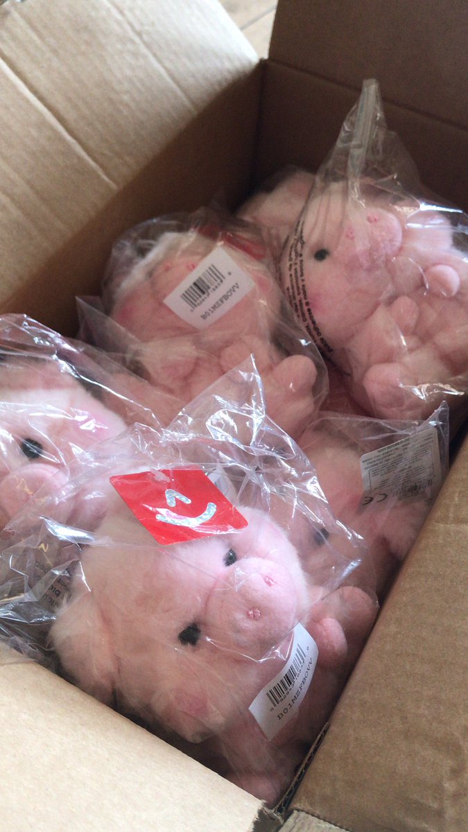KatMatisse's tweet photo. Why did I just get a delivery of 10 stuffed pigs? 🤔 come see Carmen NW Drama Club’s first play and find out!! Show dates pending https://t.co/2AcQzVtZLT